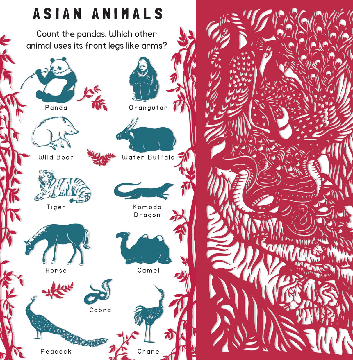 Animal Camouflage (Search & Find) - Retail Maharaj