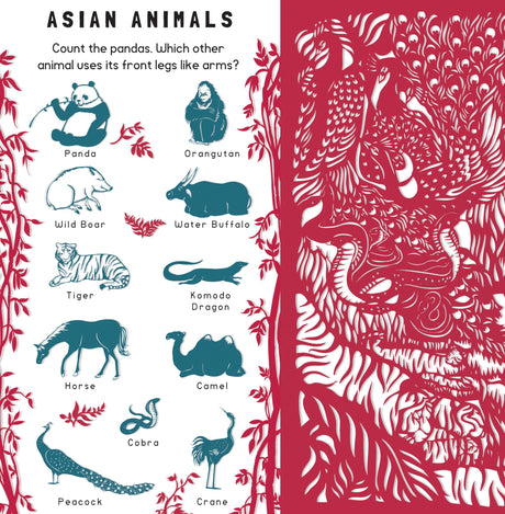 Animal Camouflage (Search & Find) - Retail Maharaj