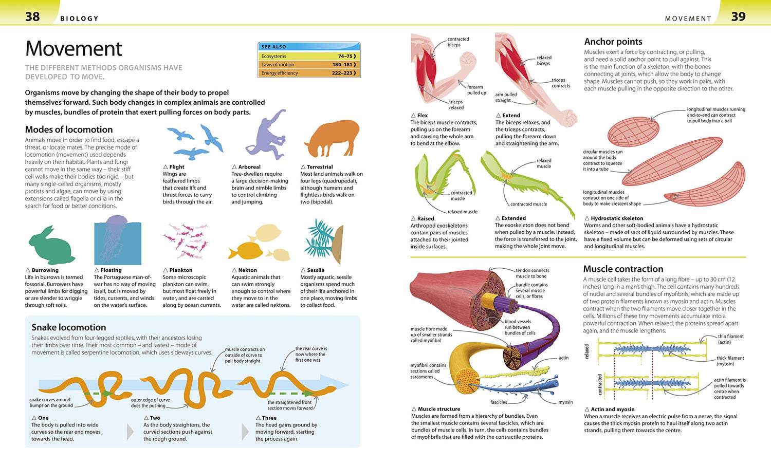 Help Your Kids with Science: A Unique Step-by-Step Visual Guide, Revision and Reference