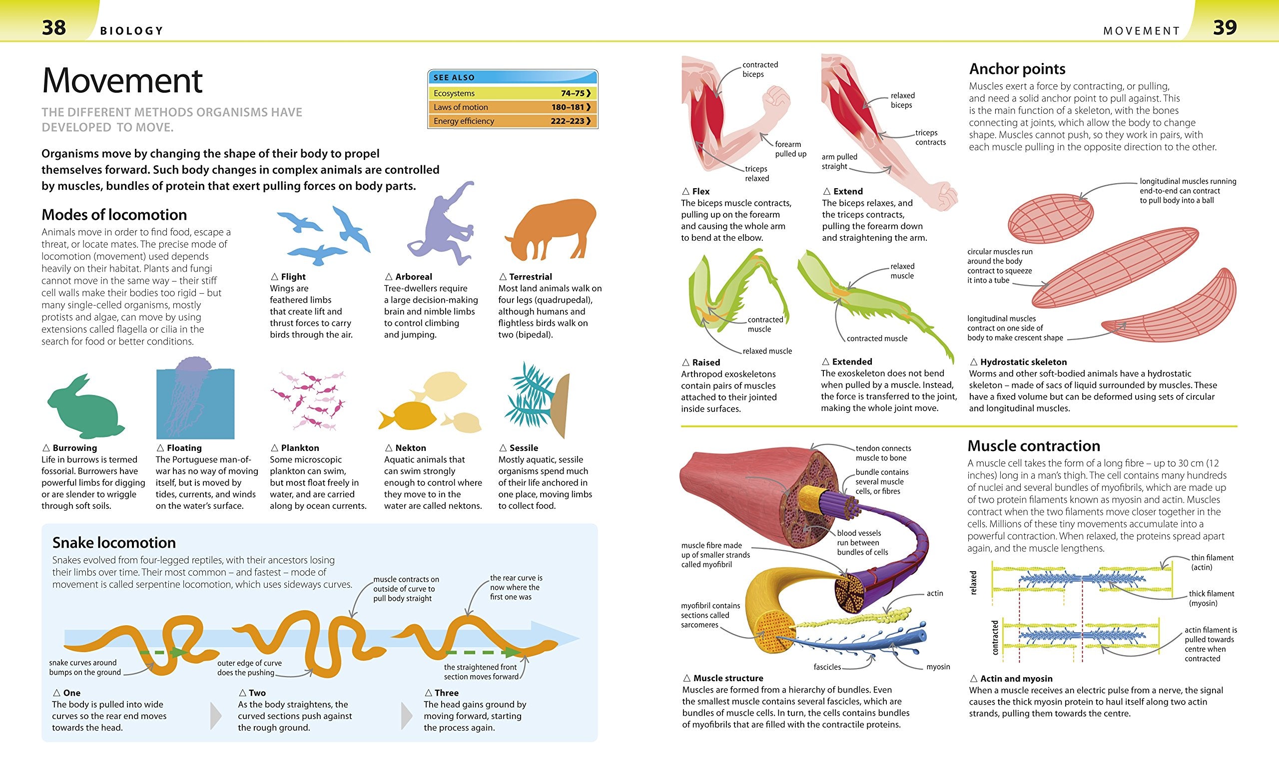 Help Your Kids with Science: A Unique Step-by-Step Visual Guide, Revision and Reference