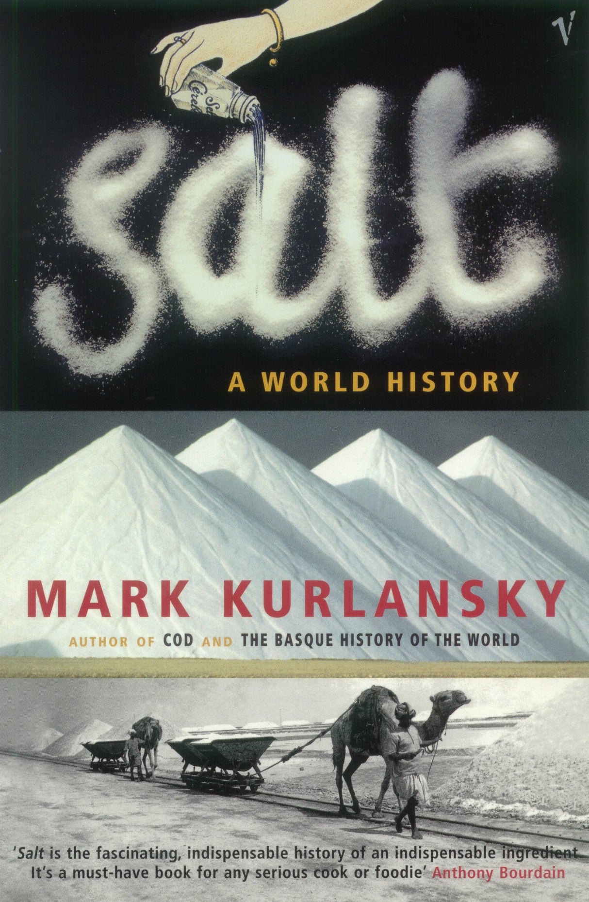 Salt - Retail Maharaj