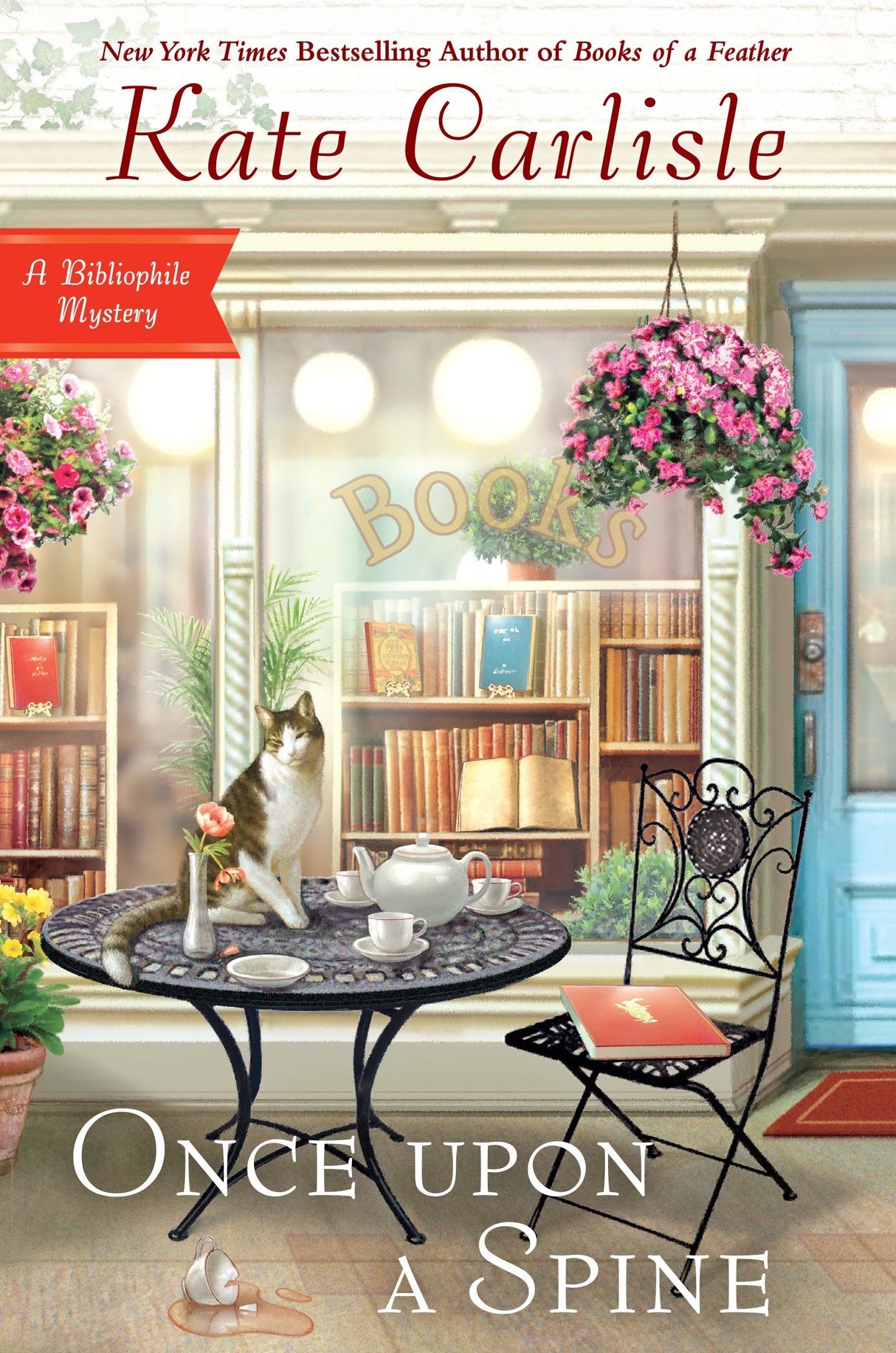 Once Upon A Spine: 11 (Bibliophile Mystery)
