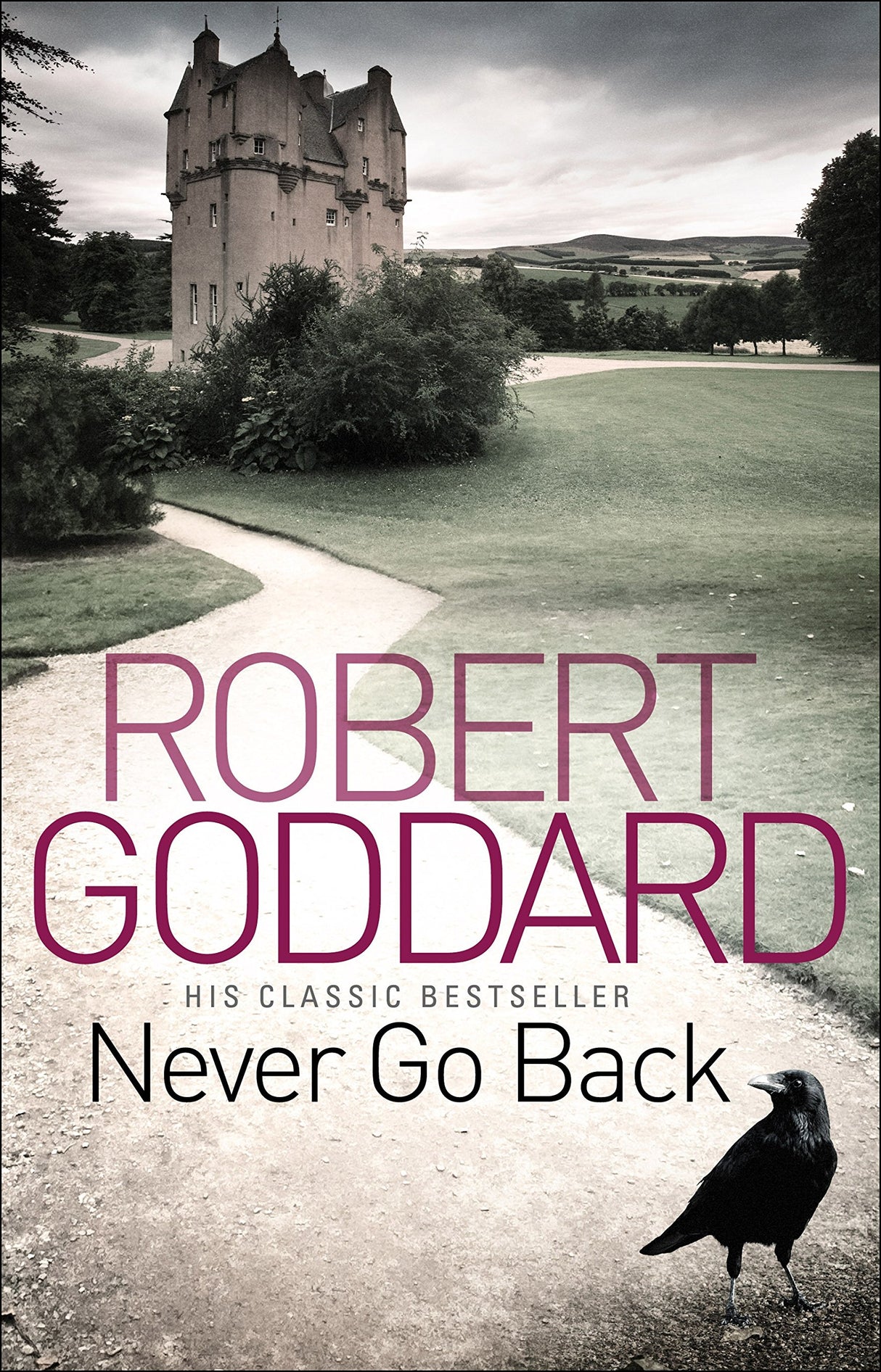 Never Go Back (Harry Barnett)