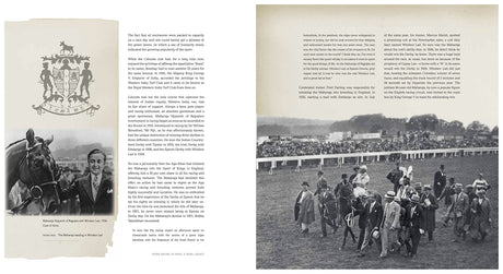 Horse Racing in India: A Royal Legacy - Retail Maharaj