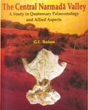 The central Narmada Valley: a study in quaternary, palaeontology and allied aspects - Retail Maharaj