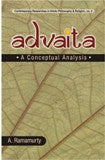 A Conceptual Analysis