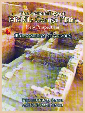 THE ARCHAEOLOGY OF MIDDLE GANGA PLAIN: Excavations at Agiabir - Retail Maharaj
