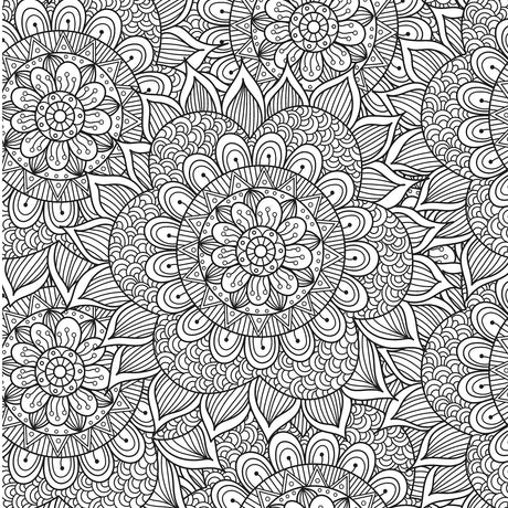 Colouring Book for Adults - Ornamental Mandala - Retail Maharaj