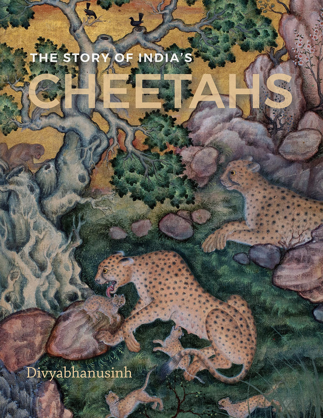 The Story of India's Cheetahs - Retail Maharaj