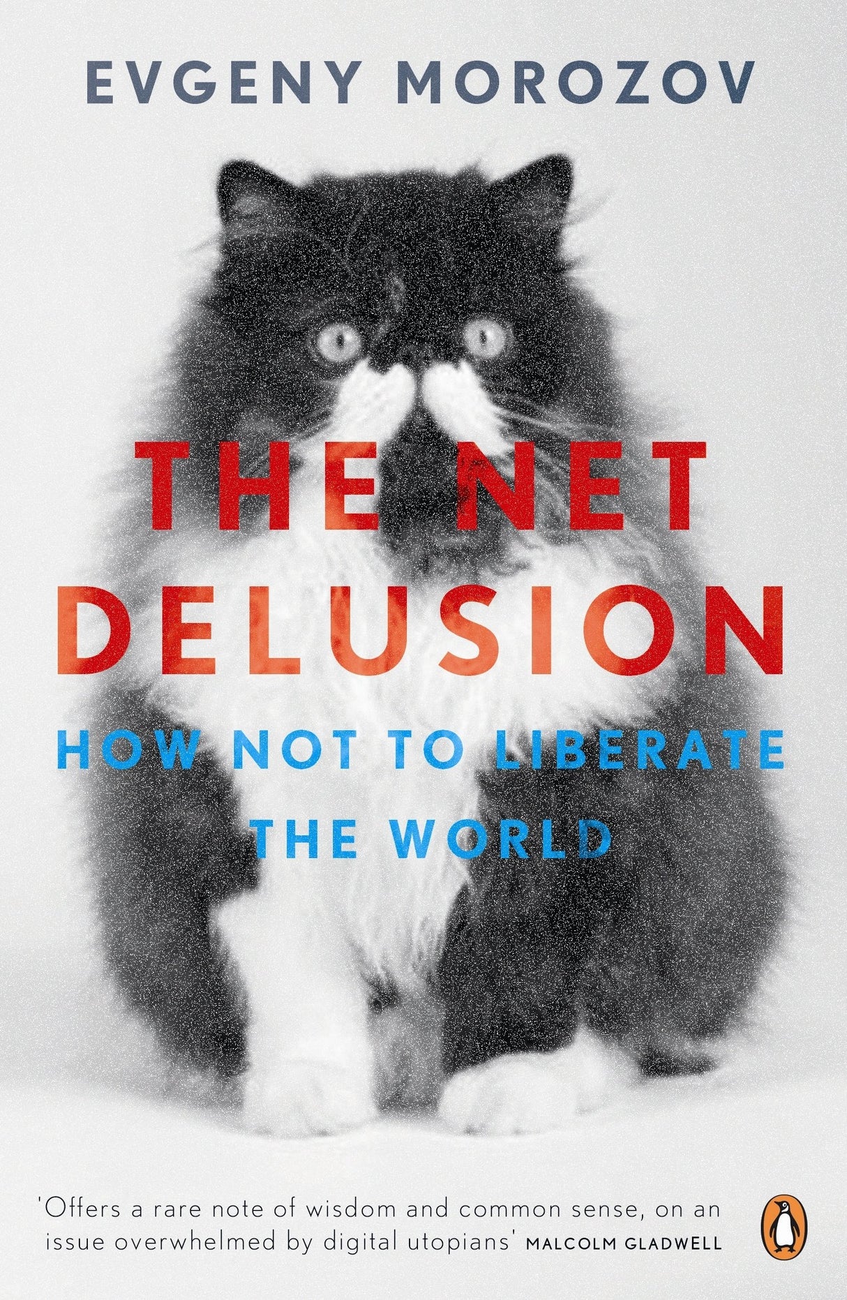 The Net Delusion: How Not to Liberate The World - Retail Maharaj