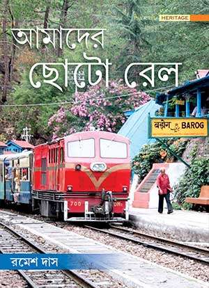 AMADER CHOTO RAIL - Retail Maharaj