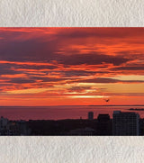 “Wings of Dusk – Melbourne Bay Sunset” by Ankita Sengupta