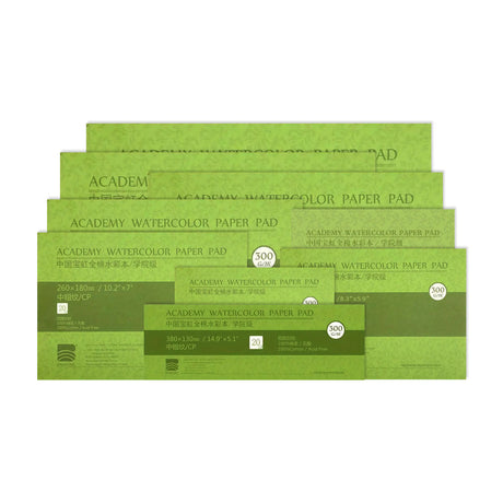 Baohong Academy Cold Pressed Watercolour Block 300 GSM - Retail Maharaj