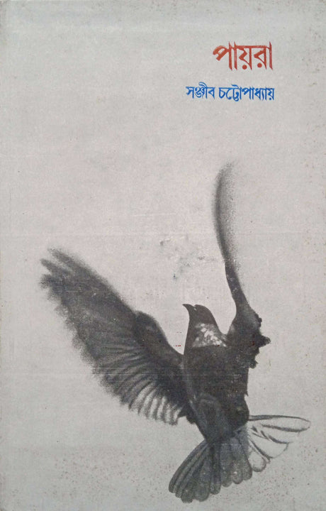 Payra - Retail Maharaj