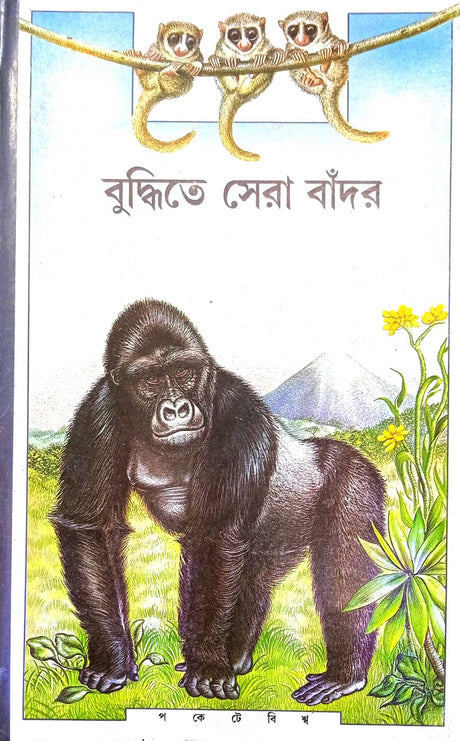 Buddhite Sera Bandar - Retail Maharaj