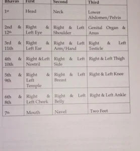 Ayur Jyotish – Medical Astrology Part 1 [SA] - Retail Maharaj