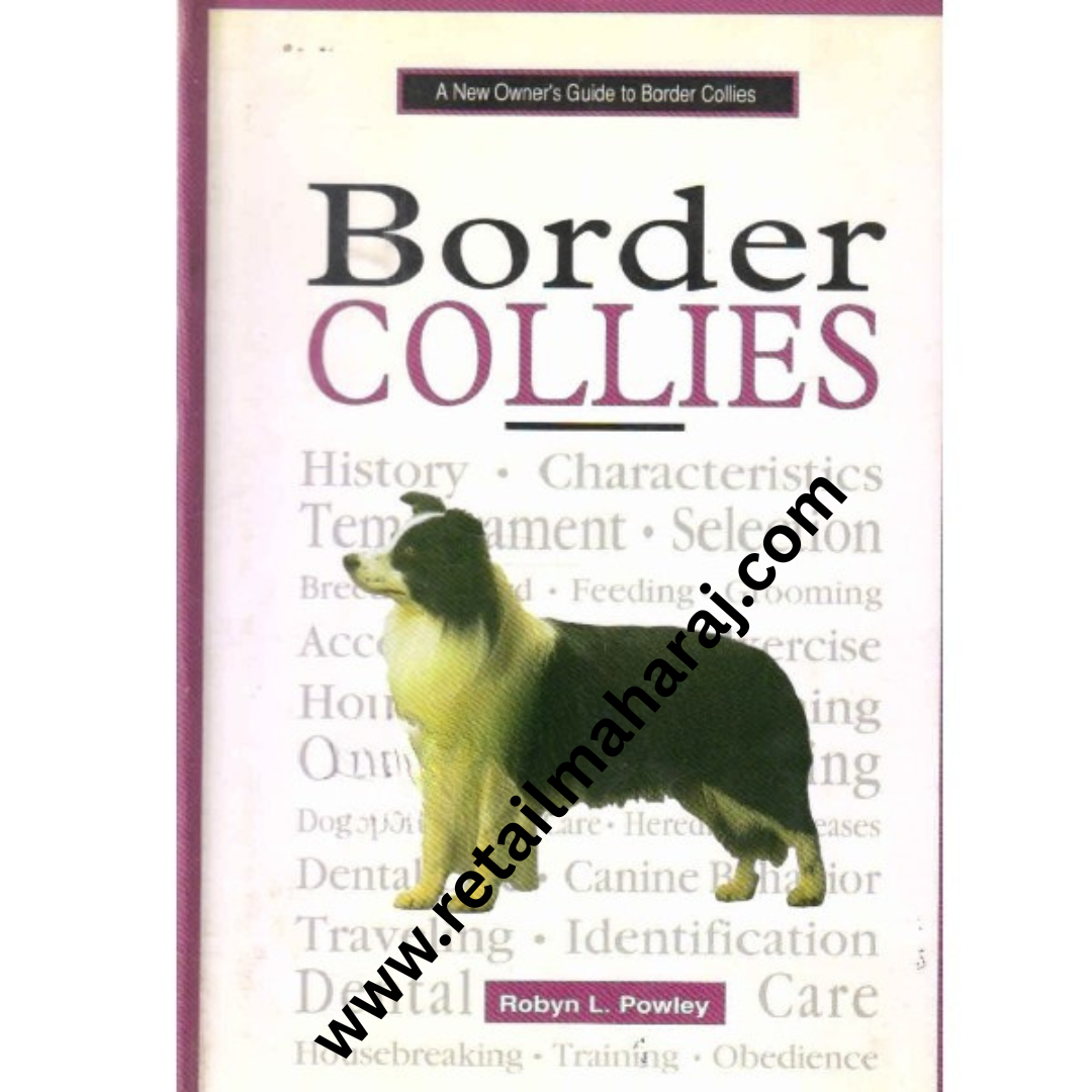 border collies - Retail Maharaj