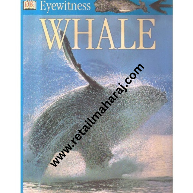 eyewitness whale - Retail Maharaj