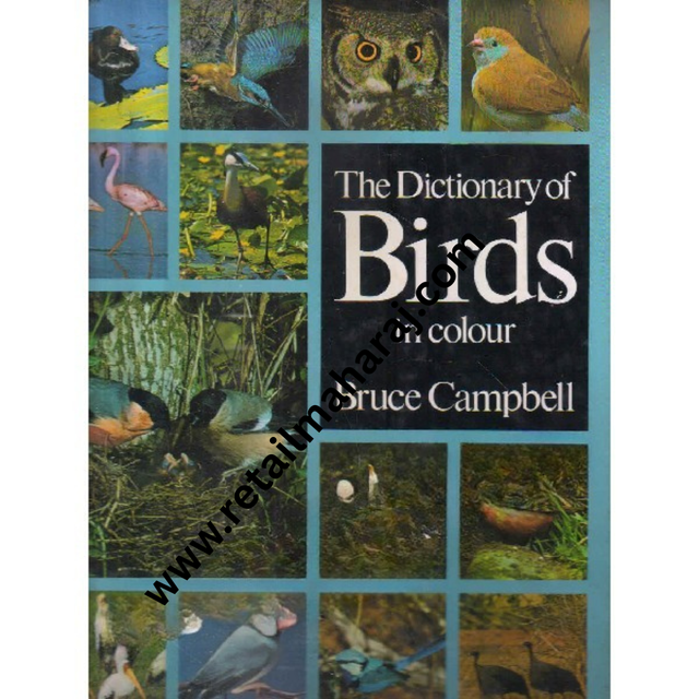 the dictionary of birds in colour - Retail Maharaj