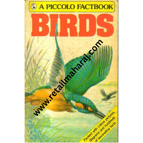 Birds - Retail Maharaj