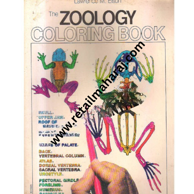 the zoology coloring book - Retail Maharaj