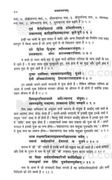 Tantra Raj Tantram [Sanskrit Hindi] - Retail Maharaj