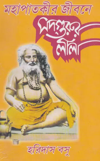 Sadguru Lila (Bengali) - Retail Maharaj