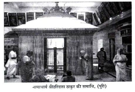 Navakalevar and Purushottamdham of Sri Sri Jagannath Dev (Hindi) - Retail Maharaj