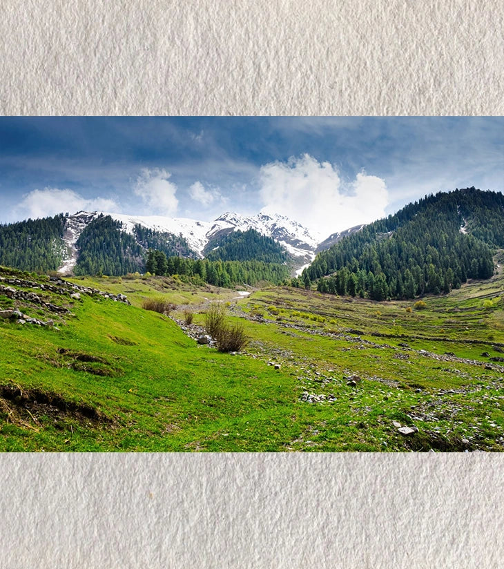 “Verdant Veins – Udaipur Valley” by Debarshi Guha Roy