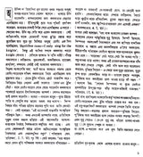 Rodin - Retail Maharaj