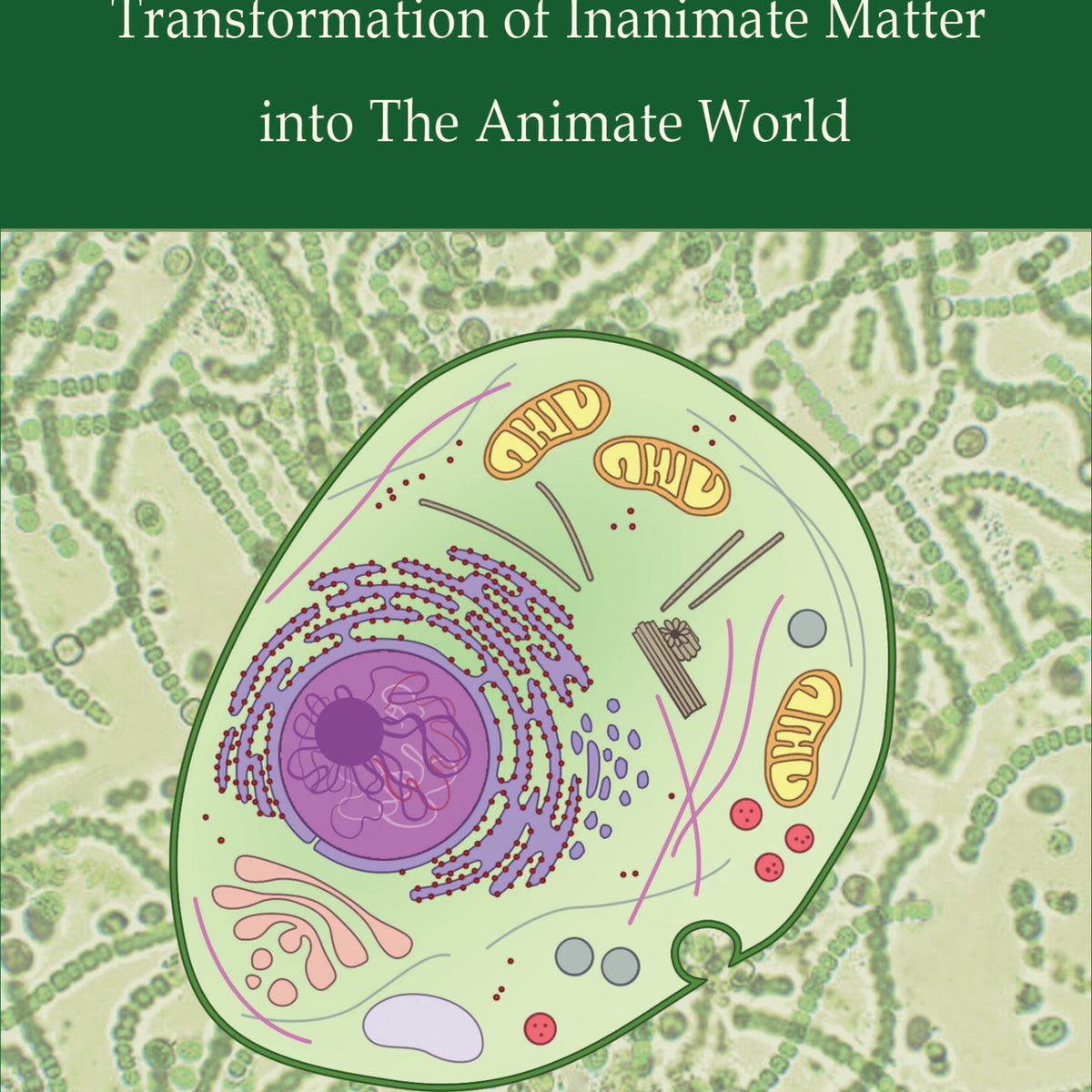 Evolution of Life: Transformation of Inanimate Matter into The Animate