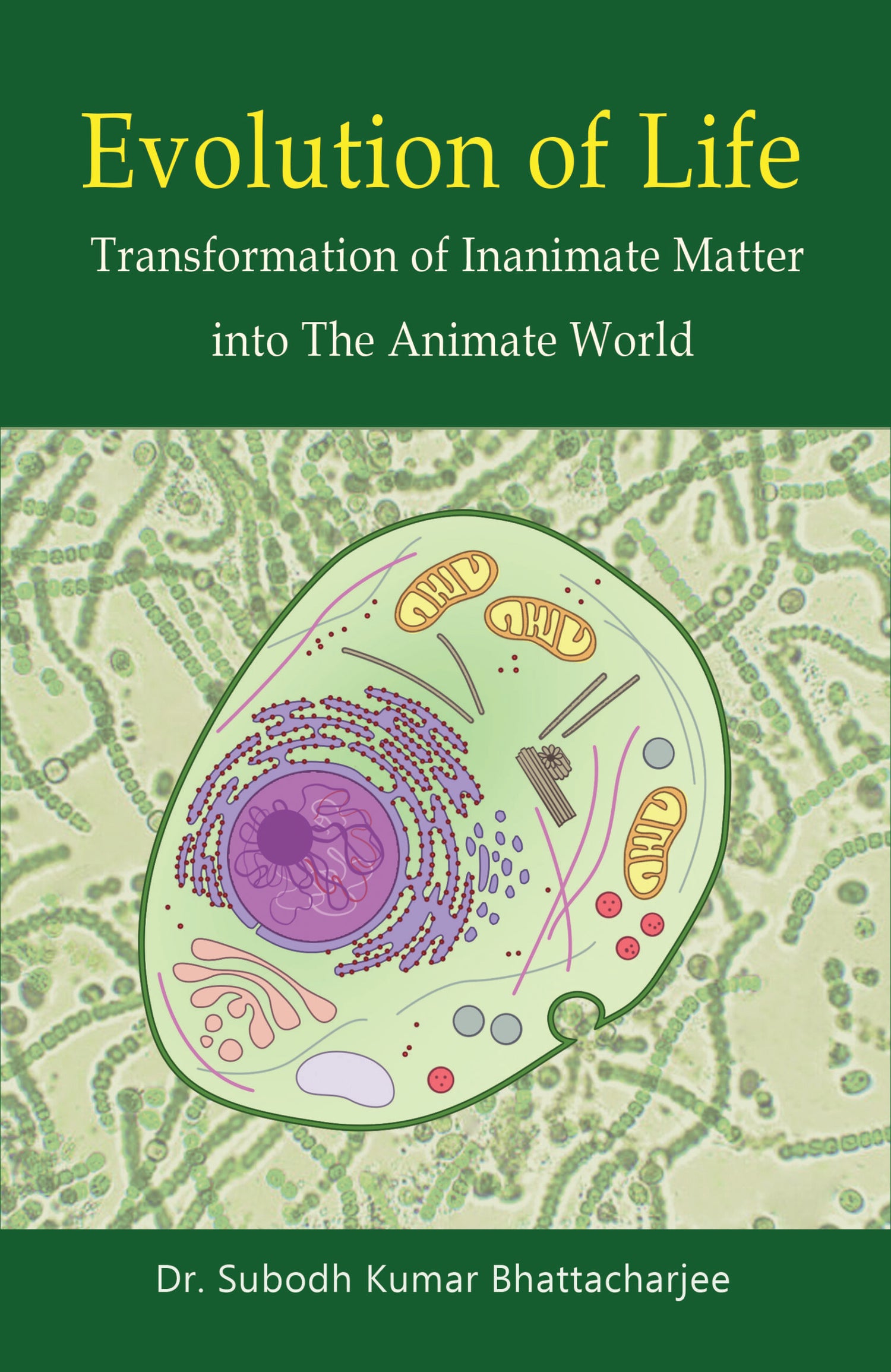 Evolution of Life: Transformation of Inanimate Matter into The Animate