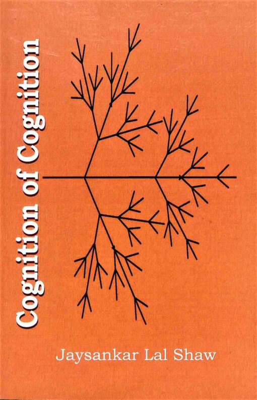 Cognition of Cognition - Retail Maharaj