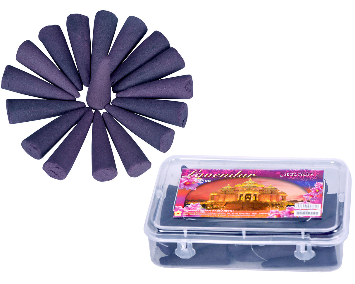 Lavender Cones 2" Cone | Plastic Container