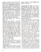 Rodin - Retail Maharaj