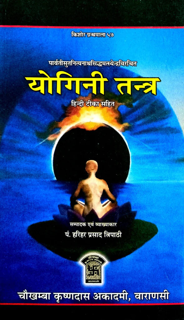 Yogini Tantra [Hindi] - Retail Maharaj