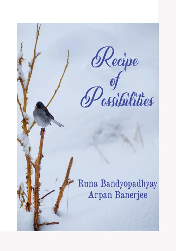 Recipe of Possibilities  (English Version)
