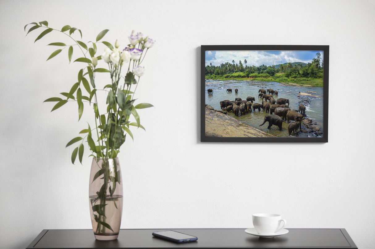 Bathing Together – Elephants of Pinnawala | Fine-Art Photograph by Sayantan Sengupta - Retail Maharaj
