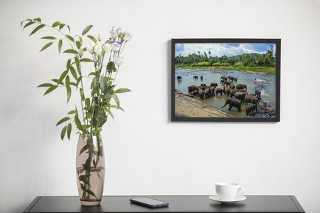 Bathing Together – Elephants of Pinnawala | Fine-Art Photograph by Sayantan Sengupta - Retail Maharaj