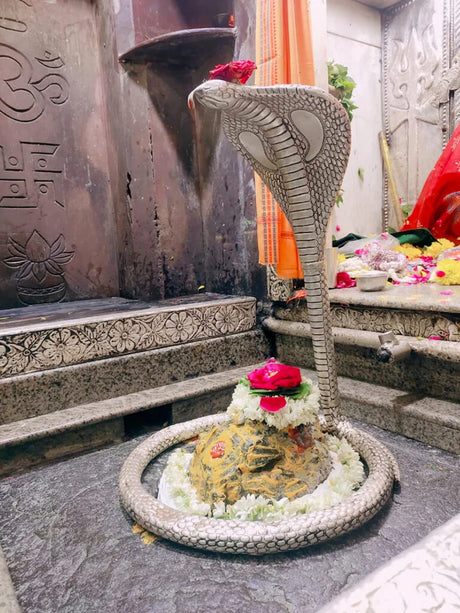 Shri Omkareshwar Jyotirlinga Divya Prasad Seva - Retail Maharaj