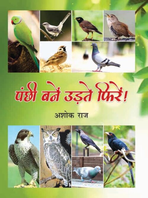 Panchi Bane Udte Phire