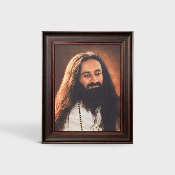 Photo Frame 24 x 30 inch (Sparkle) A - Premium Frame | Gurudev Sri Sri Ravi Shankar