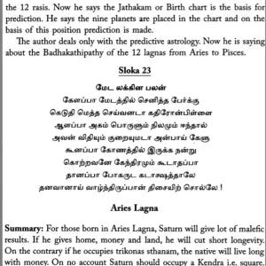 Pulippani Jothidam by Nakkirar S.Natarajan [SA] - Retail Maharaj