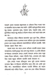 Patabhumi - Retail Maharaj