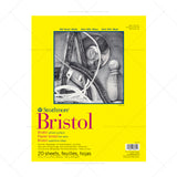 Strathmore 300 Series Bristol Paper Pad 100 lb (270 GSM) | Smooth & Vellum Surface | Open Stock