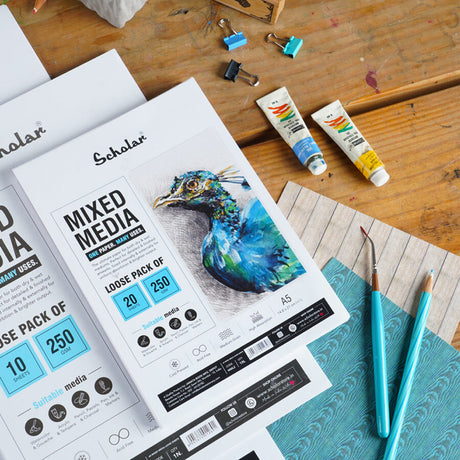 Scholar Mixed Media Paper Loose Sheets 250gsm for Wet and Dry Art - Retail Maharaj