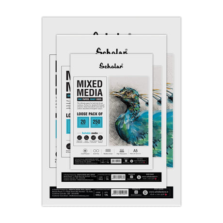Scholar Mixed Media Paper Loose Sheets 250gsm for Wet and Dry Art - Retail Maharaj