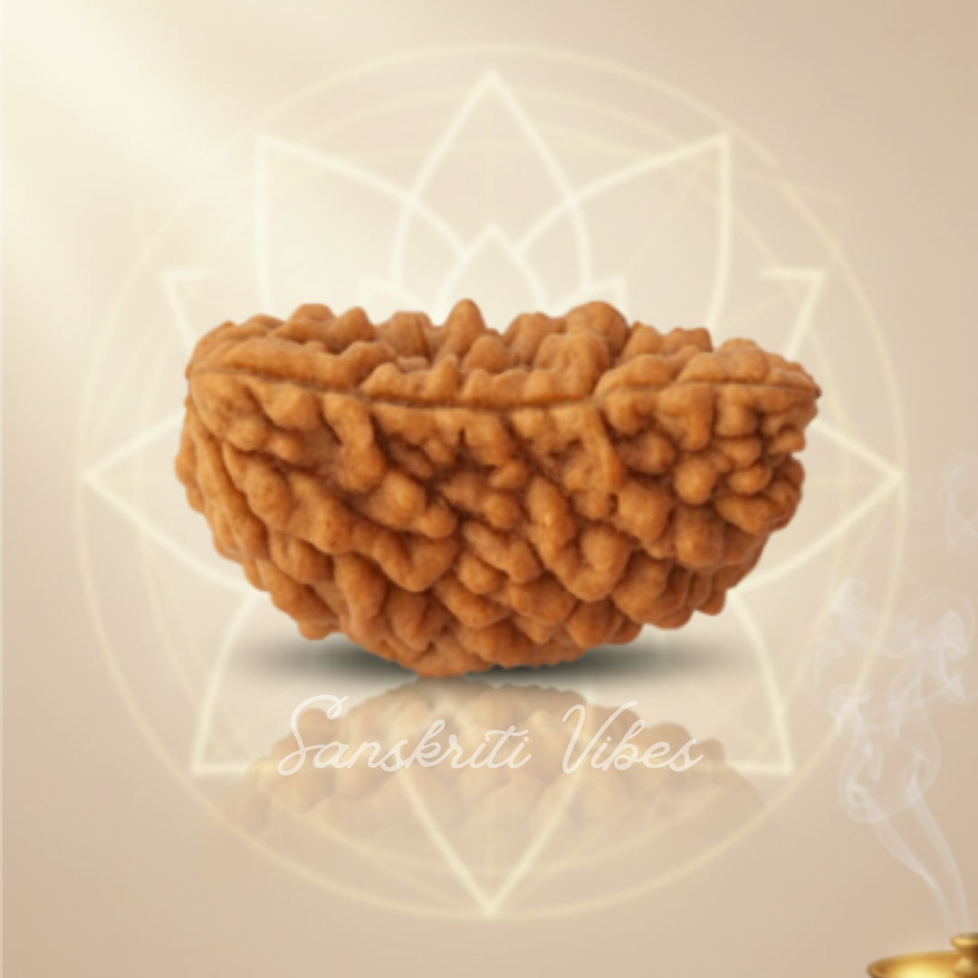 1 Mukhi Rudraksha Bead Original Certified Nepal Rudraksha for Shiv Bhakti Wealth Success and Spiritual Awakening