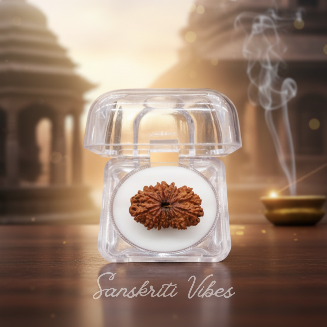 14 Mukhi Original Nepali Rudraksha Powerful Divine Rudraksha for Protection Courage Intuition and Success