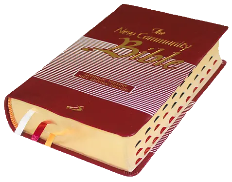 New Community Bible: Pocket Edition | Leather PU | Thumb Index | Golden Edge | Red - Retail Maharaj